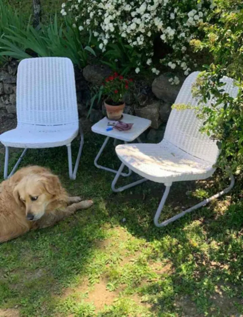 דירות פירנצה Piscina, Relax E Arte